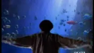 FISHMAC