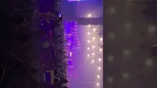 Broilers Live 