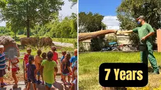 Girl disappears during school trip to zoo. Seven years later, zookeeper discovers her in anenclosure