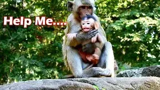 Full video kidnap&Save Dustin back| Sad sound Dustin cry call mom help during stuck in hand Tarzana
