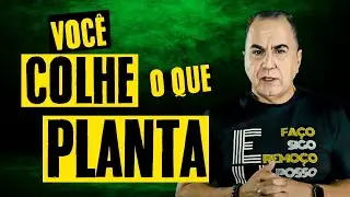 A MALDADE DO SER HUMANO