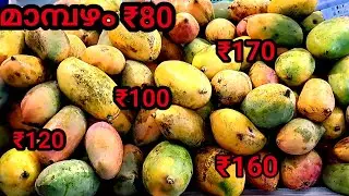 MANGO Festival In KERALA KOZHIKODE | KOZHIKODE 27th Mango festival | VARIETIES OF MANGOES 🥭🥭🥭🥭🥭🥭🥭🥭🥭🥭