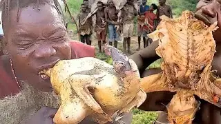 Hadzabe Hunters&rsquo; Traditional Skills  From Track to Table#wildlife d#AfricanBush#Short