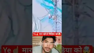 Mobile tower का Network 🛜 #mobiletower #shortvideo