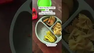 TODDLER EASY MEAL IDEAS | What I fed my toddler vs what she ate | Toddler Mom | Toddler Food Ideas
