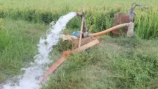 2 hp moter