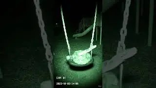 #cctv #wildlife #animalkingdom #animals #animalspecies