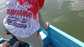tarikan mantap