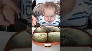 Cereals for babies #complementary feeding #recipesforchildren