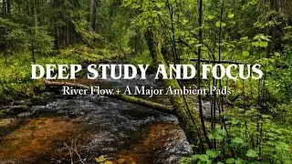 2 Hours River Sounds for Studying 🌊 | Calm Focus, No Distractions
