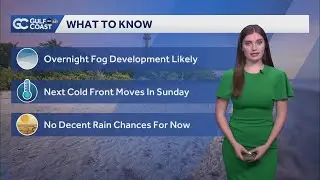 Widespread overnight fog expected to develop across the Gulf Coast
