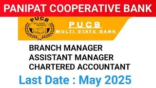 The Panipat Urban Co-Op bank Ltd recruitment 2025, PUCB branch manager, clerk, chartered accountant