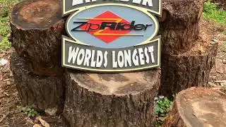 Icy Strait Point - ZipRider