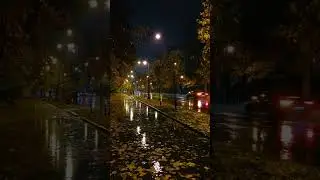 Midnight Rain: A Serenade of City Streets 🌧️