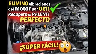 ELIMINO vibraciones del motor por 0 €!! Recupero el RALENTÍ PERFECTO