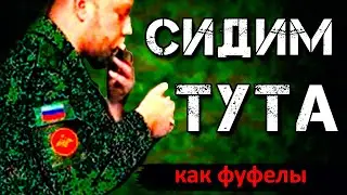 Вопросы на ответы. Политика и критика. Ламповый стрим.