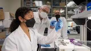 WesternU Veterinary Summer Research Program: Collaboration with Osteopathic Medicine students (2023)