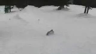 andrew gap blind 270
