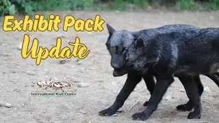 Exhibit Pack Update - 18 August 2025
