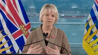 Concerns raised over threats targeting Dr. Bonnie Henry - On Global News