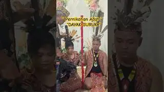 PERNIKAHAN ADAT DAYAK SURUK #kalimantanbarat #kapuashulu #dayaksuruk #putussibau #borneo