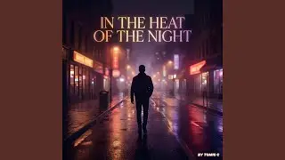 IN THE HEAT OF THE NIGHT