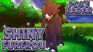 Shiny Furfrou At A Chain Of 41 Via PokeRadar - Pokemon X