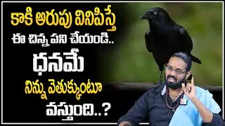 SSD : కాకి అరుపు వినిపిస్తే ఇలా చేయండి? | Unknown Facts About Crow | Vedic Astro