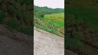 Buhay Bukid #nature #buhaybukid #trending