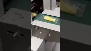 Fruit Spear auto packaging machine