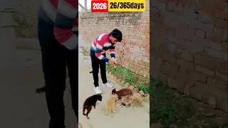 26/365days challenge short video uploaded 👍 Target 🎯 365days2026👍🥰🙏🙏👍