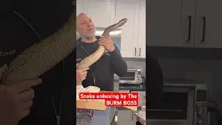 Unboxing a Giant Snake 🐍