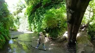 Virtual Redwood Forest Walk (360 degree tour) Humboldt Fern Canyon 6