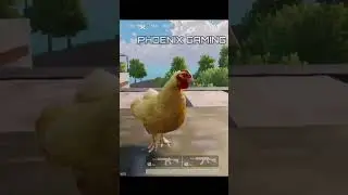 GOLDEN CHICKEN || TRAINING GROUND SECRETS NO ONE KNOW || WATCH IT OUT || 🤫 || &lrm;@phoenixgaming0015