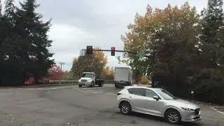 McCain with Doghouse Traffic Signal (Westbound)🚦