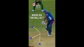 Where did the ball go? | Thursday Trivia | GT20 Canada