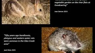 Kiewa Valley Environmental History