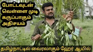 சட்டென வெள்ளை முடி கருப்பாக மாறும் | இயற்கை ஹேர் ஆயில் | yummy vlogs