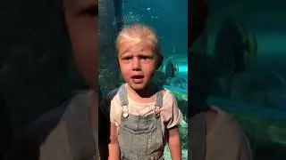Sea life centre, shipwreck museum & fisherman&rsquo;s museum. Free day out 🤗