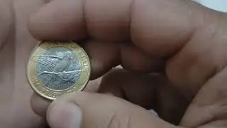 MOEDA N&Uacute;CLEO CORTADO EM MEIA-LUA VALOR 350