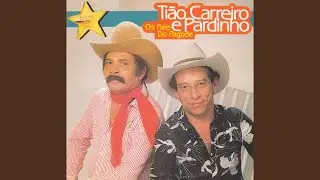 Estrela de ouro
