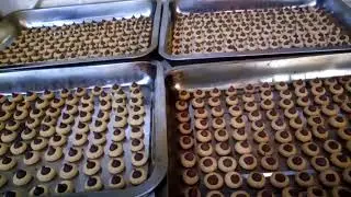 chocoolate cookies