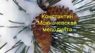 15 ноября 2020 г.