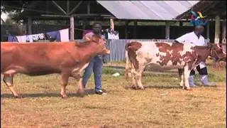 Agricultural show opens in Mombasa