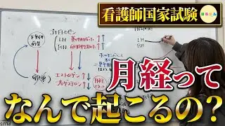 【月経ってなぜくるの？ホルモンとの関係は？】