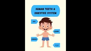 Human teeth & Digestive System  - Part 1 | Class 4 Science | CBSE Curriculum  #humanteeth