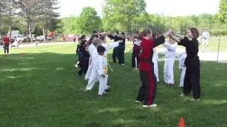 Defense wise Karate Demo full movie