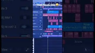 NEW GENRE - DUCKHOP? 😮