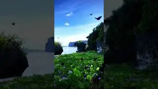 #Филиппины # цветы# горы # море #shorts