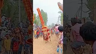 Masur Meesi Darbar pipi hori 🎈🎈🎈#horihabba #jallikattu #chamundiexpress